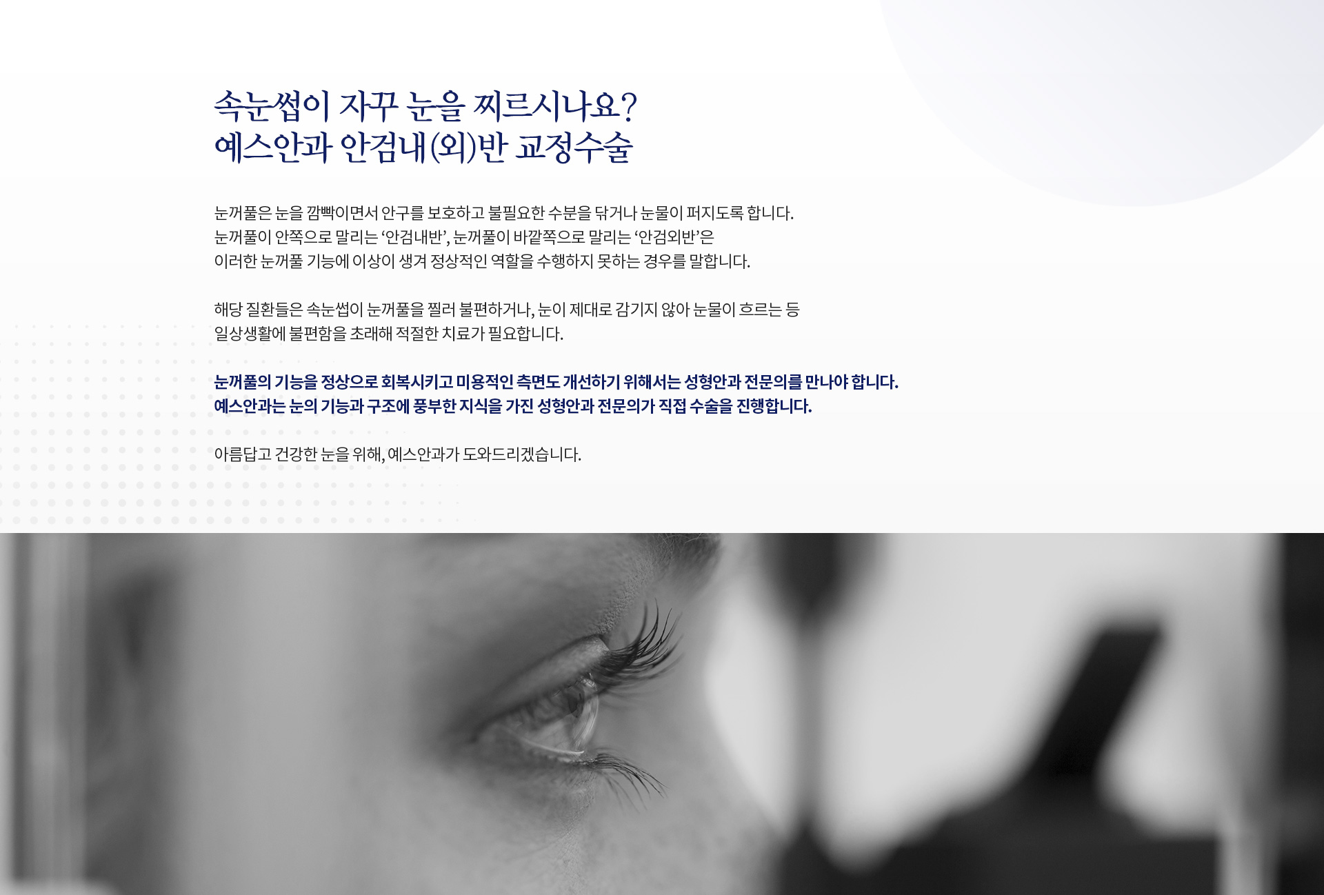 서브이미지