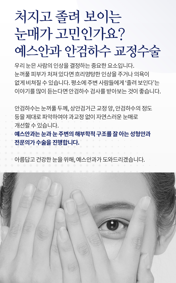 서브이미지