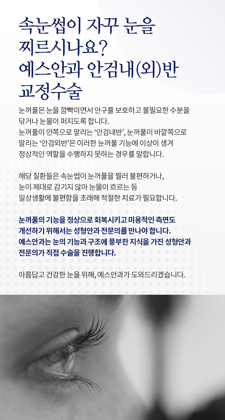 서브이미지