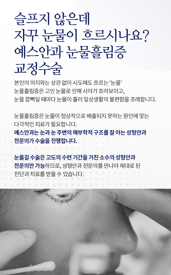 서브이미지